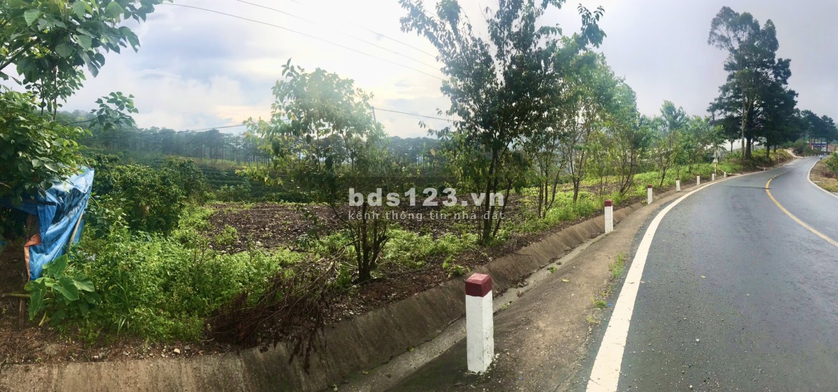 Cần tiền bán 1.1HA lô đất Xuân Trường MT QL20 cách chợ Đà Lạt 17KM, 35 tỷ giảm còn 18 tỷ