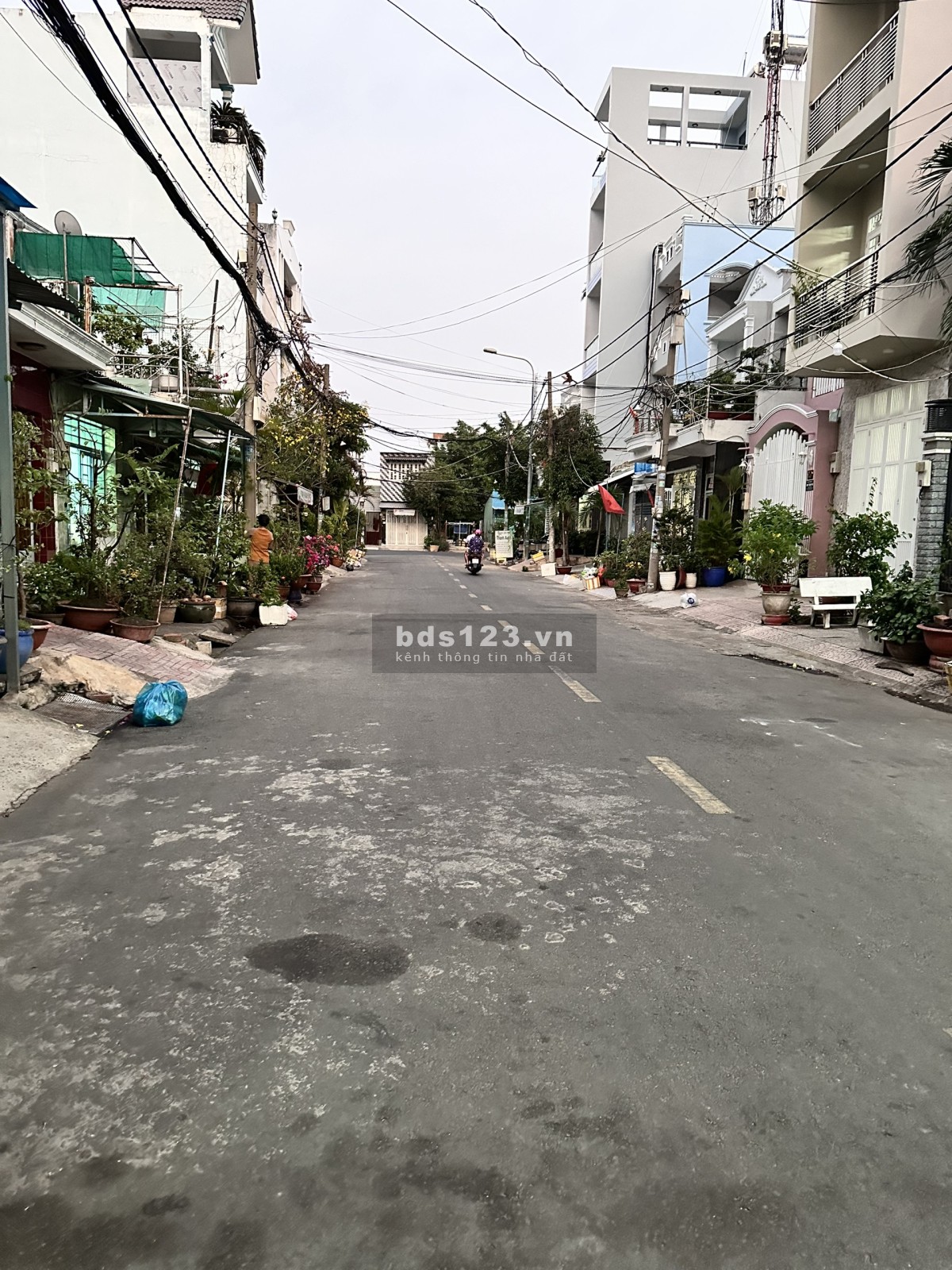 Nhà mặt tiền đường số rộng 14m - DT 3.5x17.7m, P. Tân Quy, Quận 7 - 62m2 : Giá 9.3 tỷ Có TL