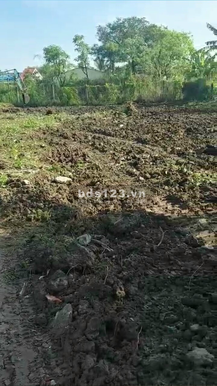 Bán đất nền tiện phân lô, làm nhà vườn tại Gò Công Đông, Tiền Giang. DT 53x34m sổ riêng