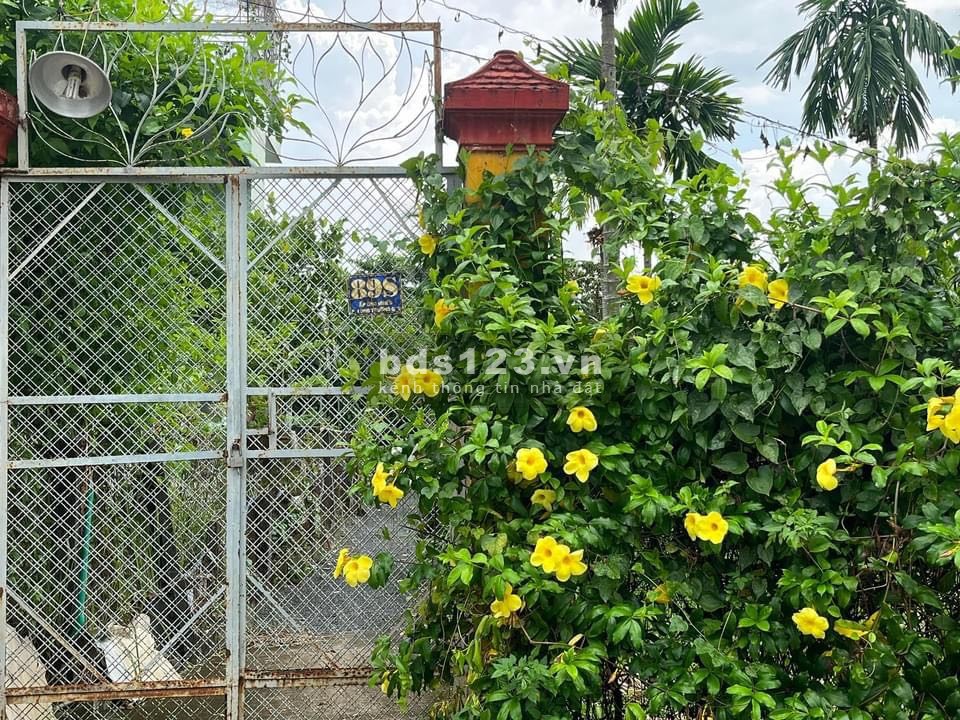 Rẻ nhất phường Long Trường - TP Thủ Đức, chính chủ