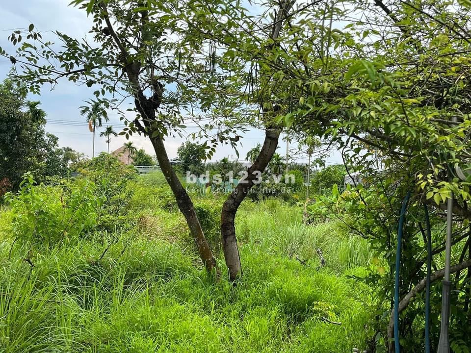 Rẻ nhất phường Long Trường - TP Thủ Đức, chính chủ