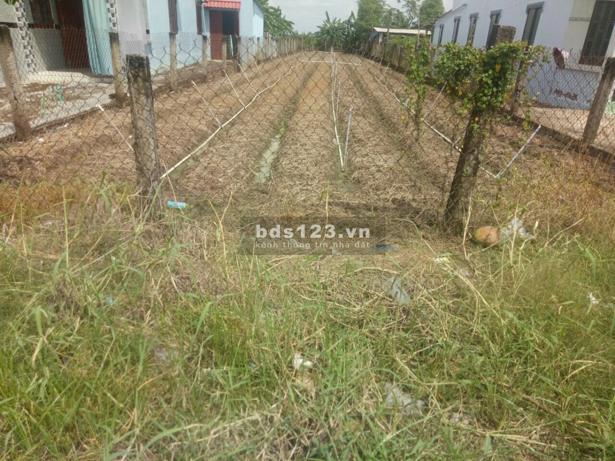 Bán 524m2 đất mặt tiền đường nhựa HL07 xã Tân Điền, Gò Công Đông, Tiền Giang. 8x66m 1.8tỷ TL
