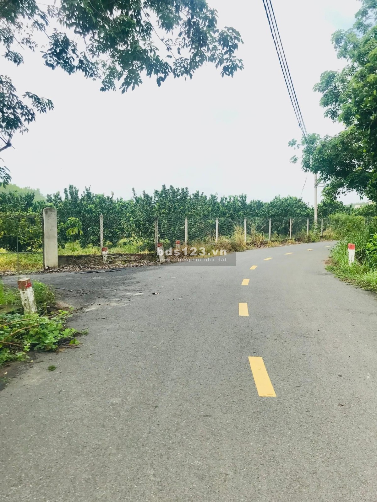 Chính chủ cần bán 1098m2 vườn bưởi, sổ sẵn giá chỉ 520 triệu bao giấy tờ sang tên công chứng