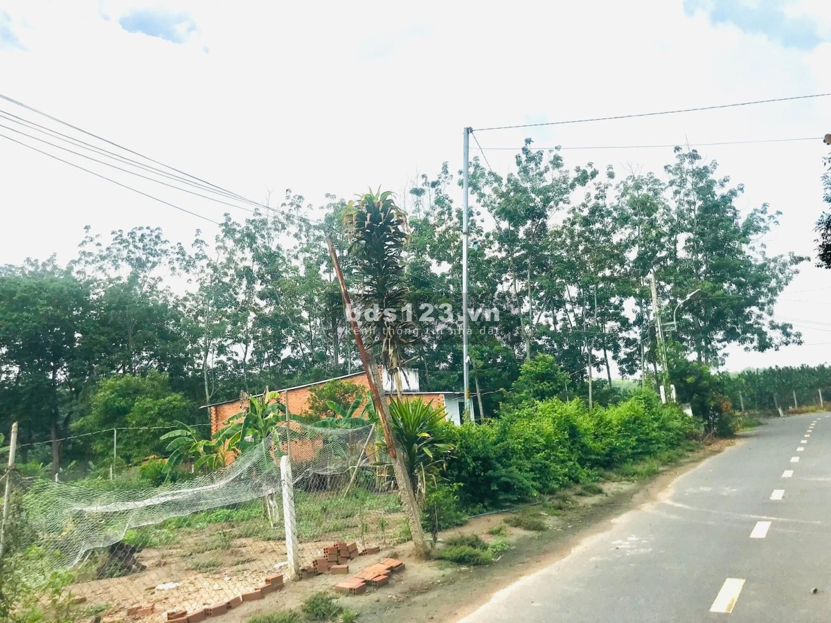 Chính chủ cần bán 1098m2 vườn bưởi, sổ sẵn giá chỉ 520 triệu bao giấy tờ sang tên công chứng