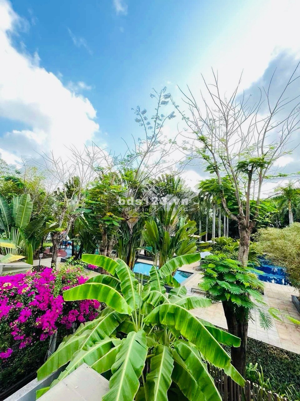 Cần bán biệt thự RIVIERA COVE ven sông, 501m2 1 trệt 2 lầu 5PN, Nội thất như hình, giá chỉ 52 tỷ TL