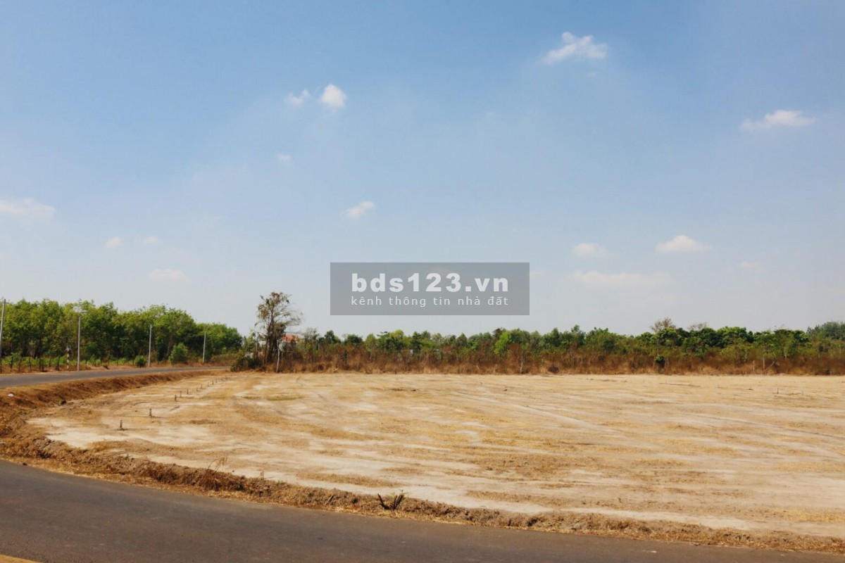 Đất nền dự án giá rẻ sinh lời chỉ 3XX triệu, sẵn sổ hồng