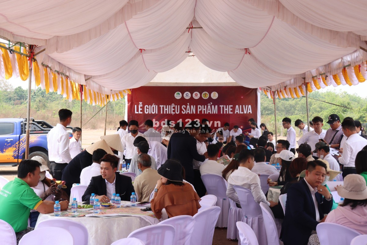 Đất nền dự án giá rẻ sinh lời chỉ 3XX triệu, sẵn sổ hồng