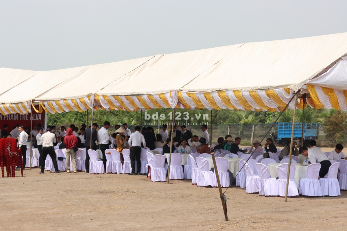 Đất nền dự án giá rẻ sinh lời chỉ 3XX triệu, sẵn sổ hồng