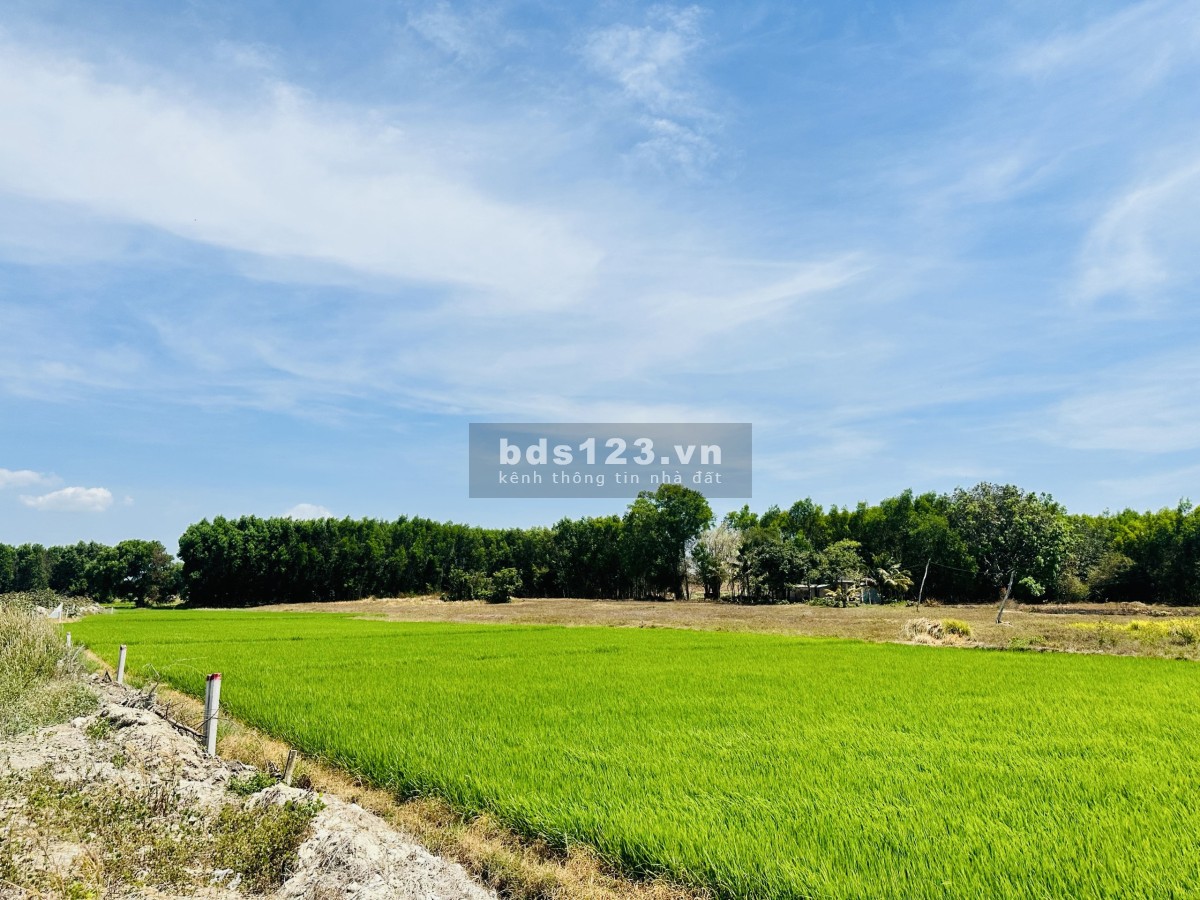 Bán nhà vườn BR-VT, gần QL55, sân bay Hồ Tràm, trung tâm hành chính xã, KDC hiện hữu