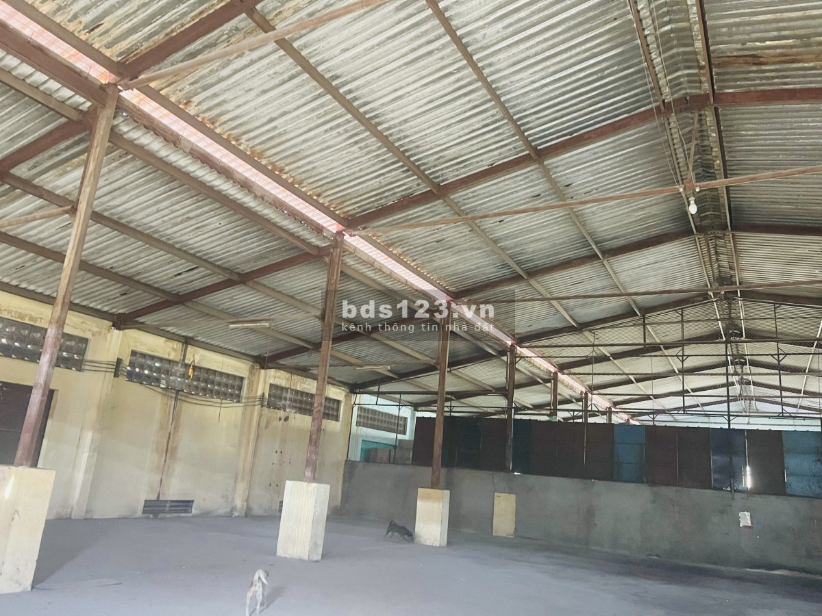 Cho thuê kho, xưởng 4000m chính chủ đường Hoài Thanh, Quận 8, gần Đại lộ Võ Văn Kiệt giá cả hợp lý