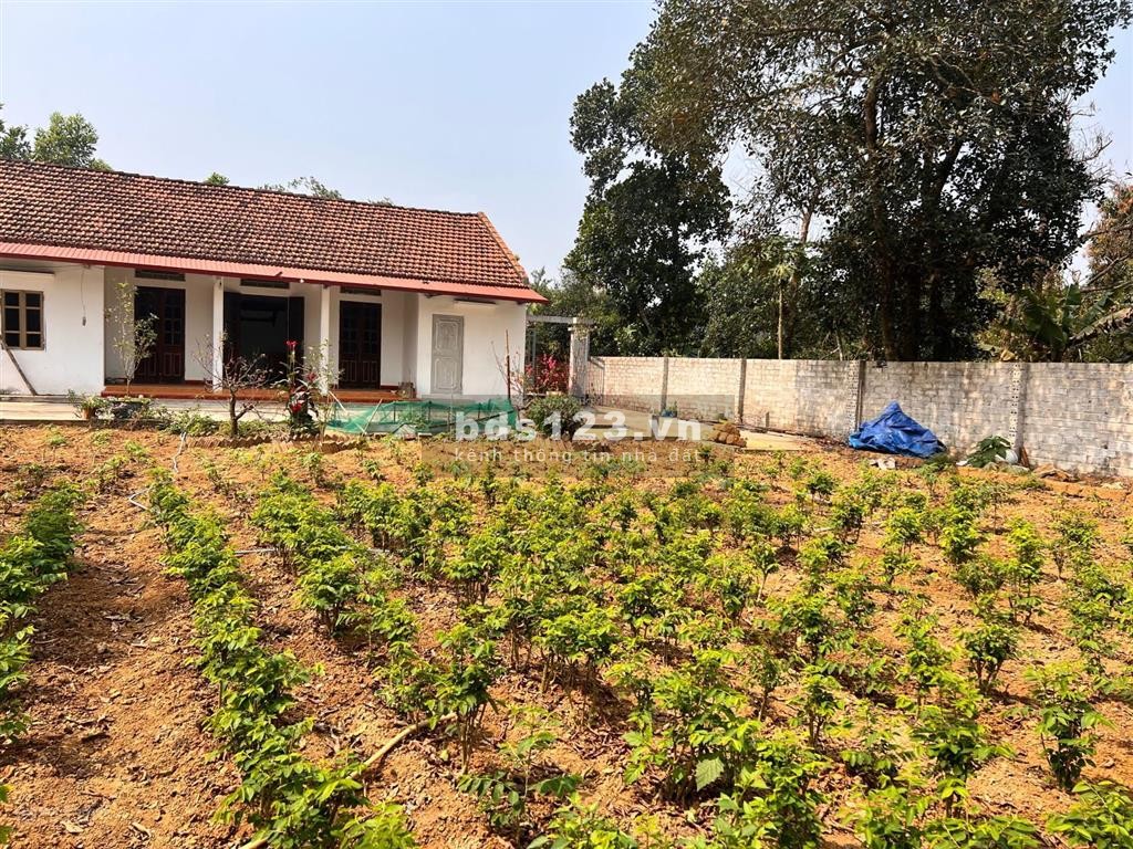 Lô góc 300m2, đường thông, quần thể đồng bộ