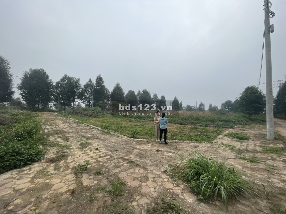 Trục chính linh sơn rẻ hơn thị trường 5 giá, kinh doanh buôn bán được luôn