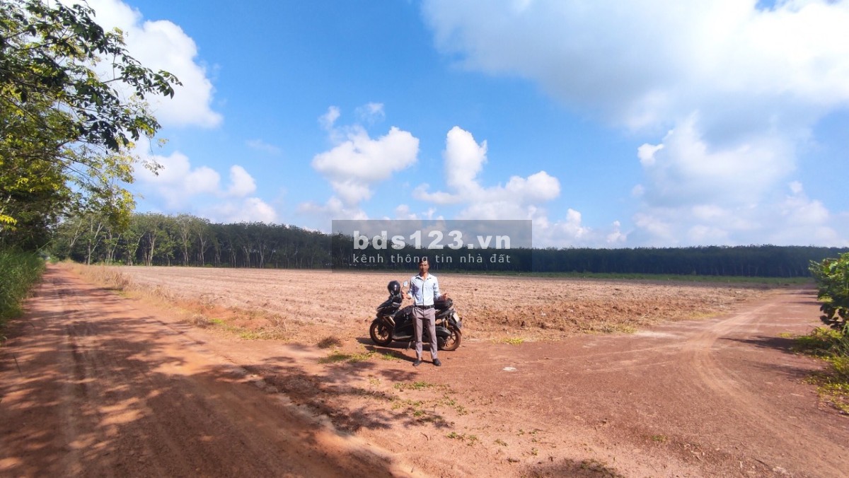 Bán cắt lỗ lô đất Vành đai KCN Cây Trường Bàu Bàng