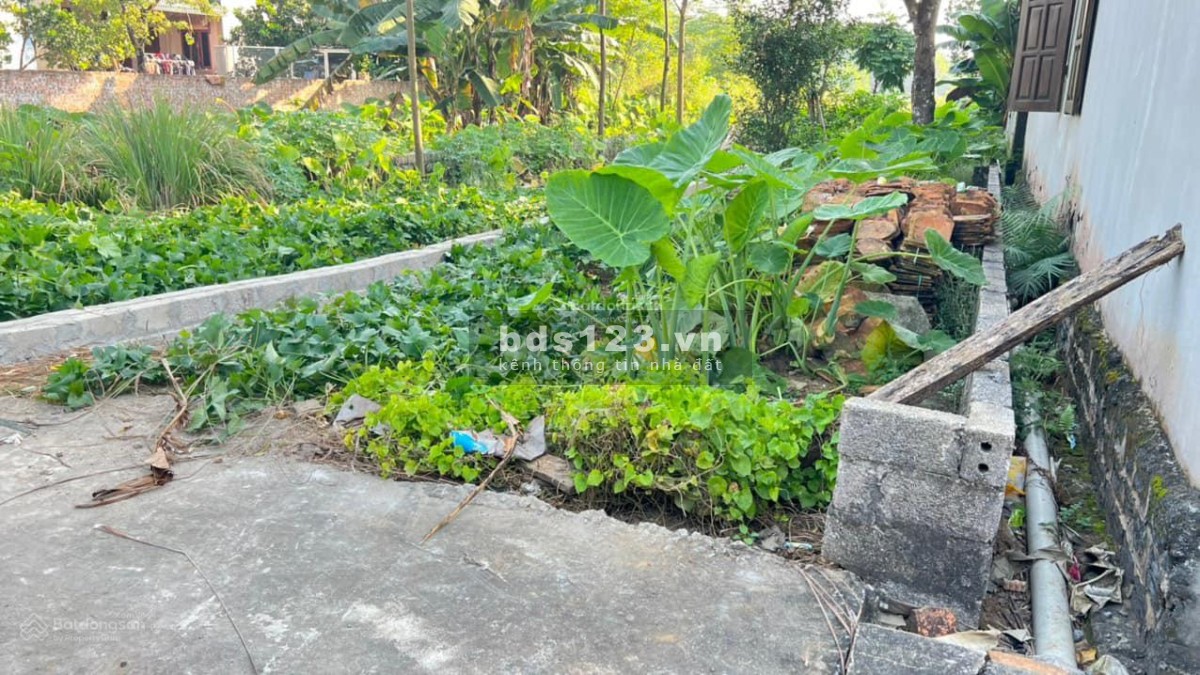 Cần bán lô đất 65m2 mặt tiền 5,2m đất vuông vắn đường trước mặt 5m giá