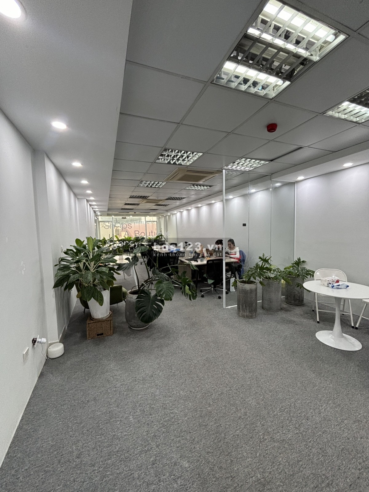 Chính chủ cho thuê Văn Phòng 85m2 full nội thất tại 130 Quán Thánh, Ba Đình, Hà Nội. LH. 0866683628