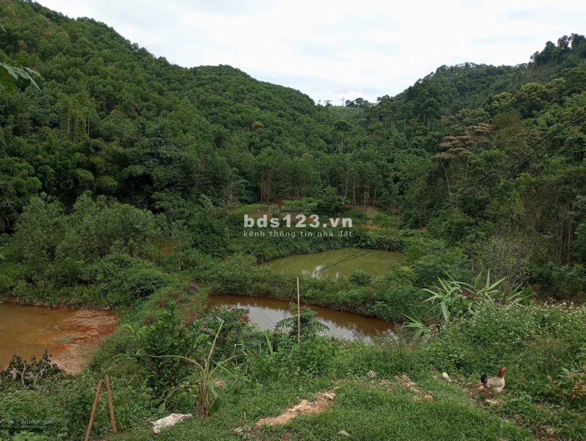 Chuyển nhượng 21 ha đất nghĩ dưỡng tại xã độc lập thành phố Hòa Bình