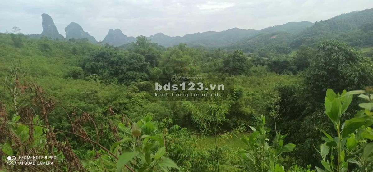 Chuyển nhượng 21 ha đất nghĩ dưỡng tại xã độc lập thành phố Hòa Bình