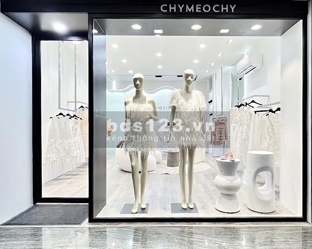 Nhà mặt tiền khu kinh doanh sầm uất, đường Nguyễn Đình Chiểu, P5 Quận 3, ngang gần 5m Giá 60tr/th
