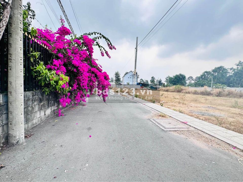 Bán gấp đất thổ cư Thủ Dầu Một gần thành phố mới giá rẻ như Bến Cát, sổ hồng riêng