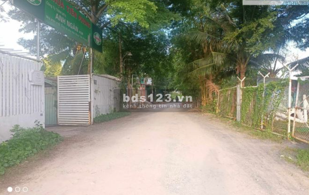 Cho thuê đất An Phú Đông, quận 12, giáp Gò Vấp