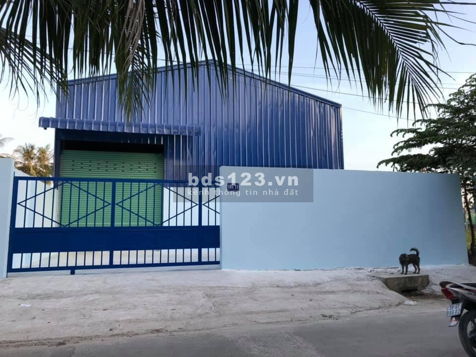 Chính chủ cho thuê kho diện tích 320m2, phường An Phú Đông, quận 12.