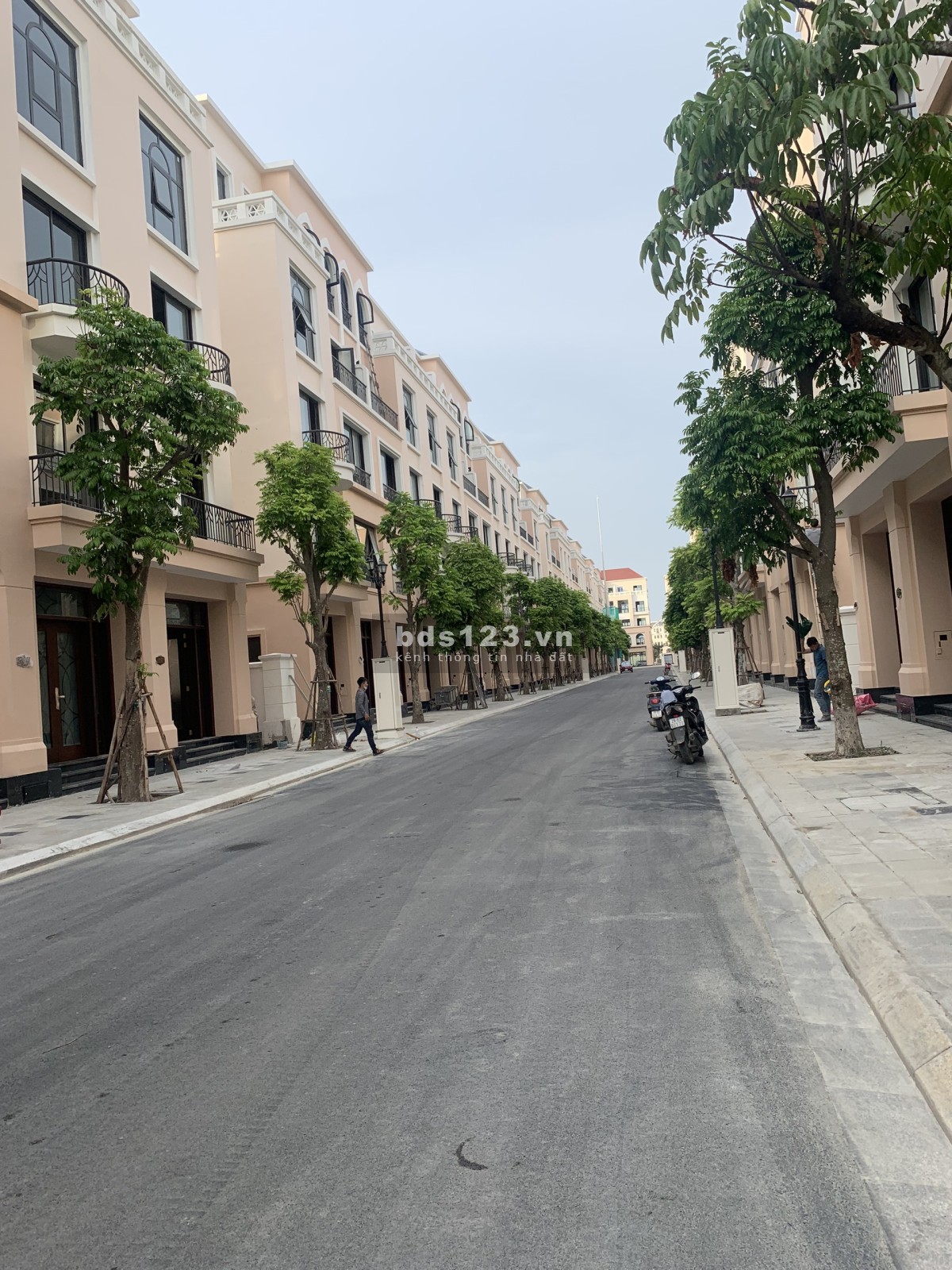 Bán LK Cọ Xanh, Hải Âu, Chà Là 64m2 tại Vincity Hưng Yên