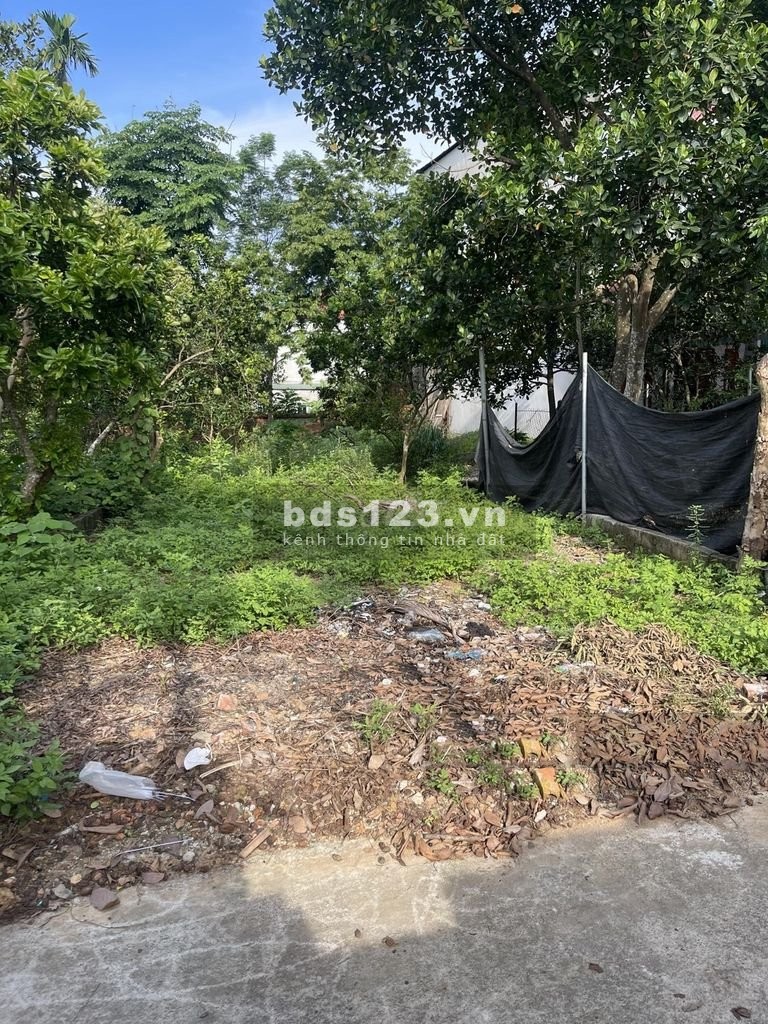 Cần bán lô góc 60m2, thôn 3 Tân Xã, Thạch Thất, giáp khu công nghệ cao Hòa Lạc, trường FPT