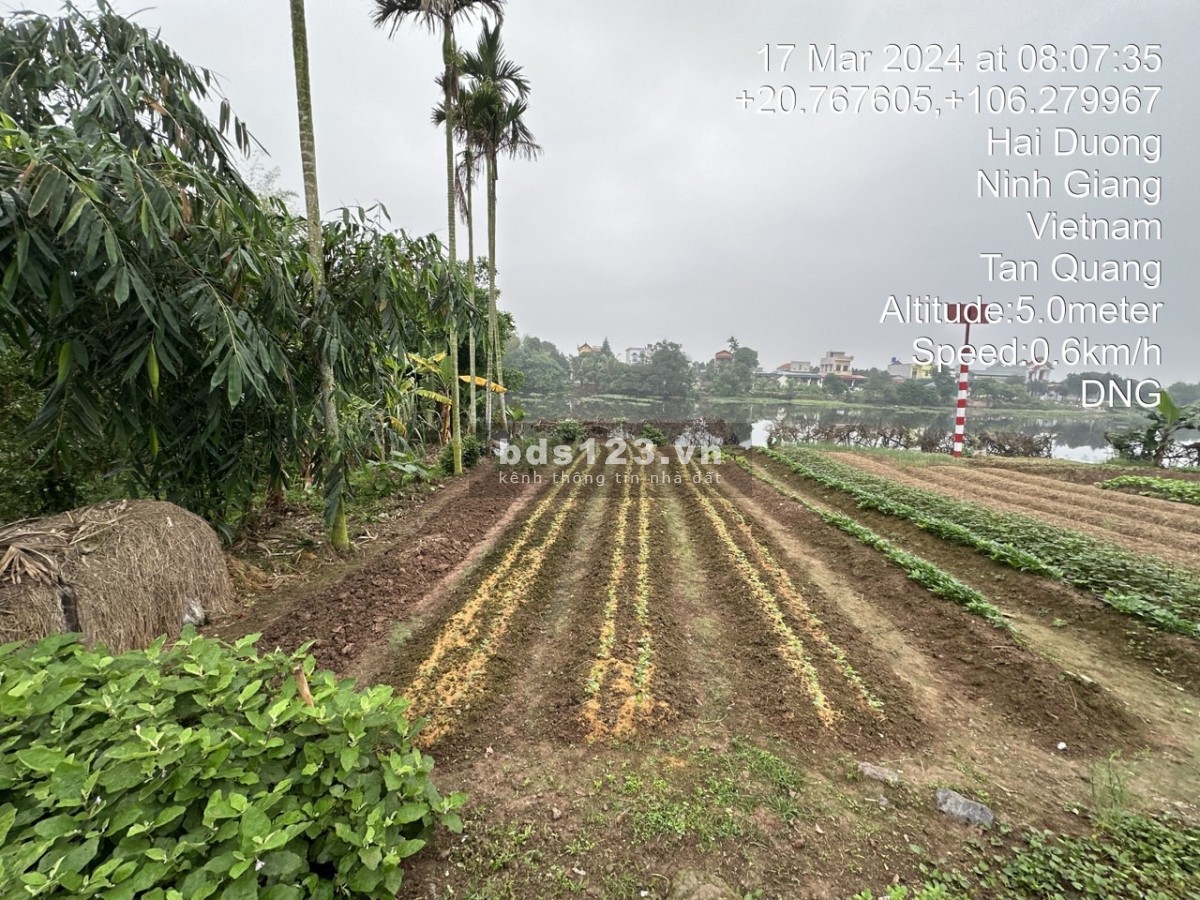 Hoàng Hanh - Ninh Giang - Hải Dương mặt tiền 10.2 giá rẻ chỉ 7XX