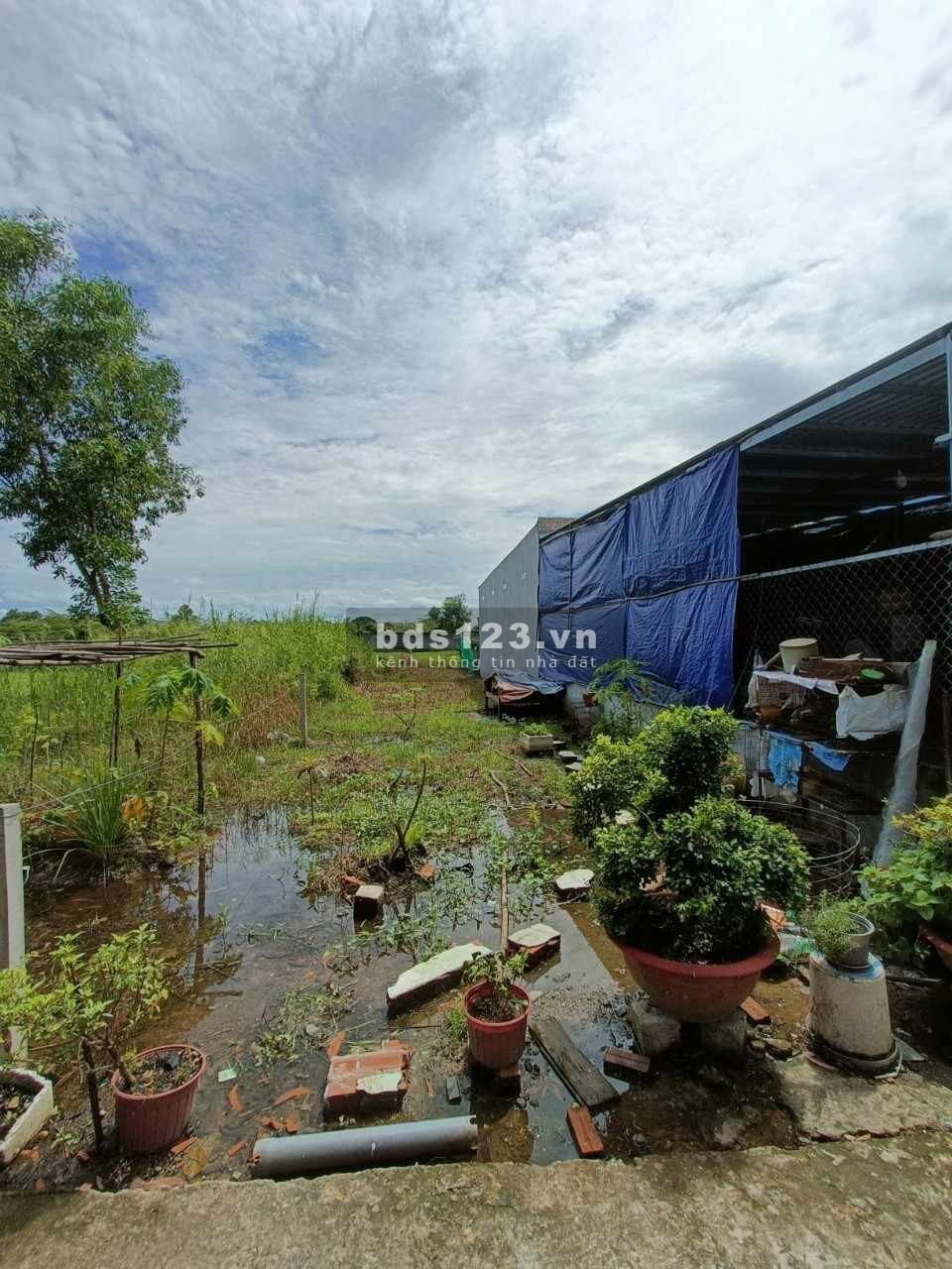 Chính chủ cần bán gấp. Xã Hòa Phú, huyện Củ Chi. DT 158,9 m2 full thổ cư. 2,5 tỷ còn thương lượng.