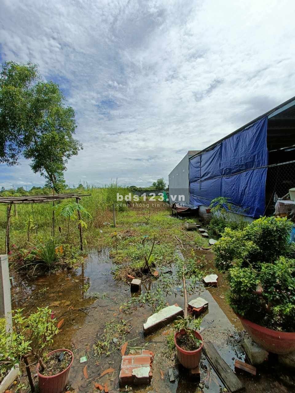 Chính chủ cần bán gấp. Xã Hòa Phú, huyện Củ Chi. DT 158,9 m2 full thổ cư. 2,5 tỷ còn thương lượng.