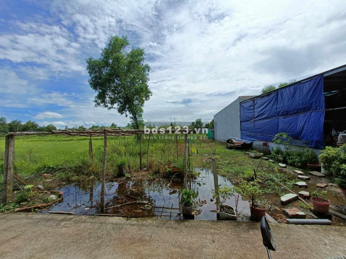 Chính chủ cần bán gấp. Xã Hòa Phú, huyện Củ Chi. DT 158,9 m2 full thổ cư. 2,5 tỷ còn thương lượng.