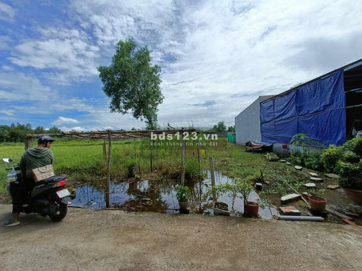 Chính chủ cần bán gấp. Xã Hòa Phú, huyện Củ Chi. DT 158,9 m2 full thổ cư. 2,5 tỷ còn thương lượng.