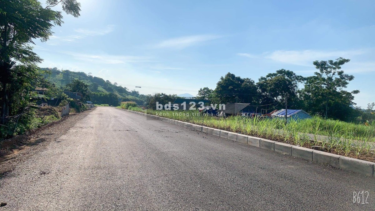 Bán đất 1000m đất ở thị trấn Sao Vàng, Thanh Hóa