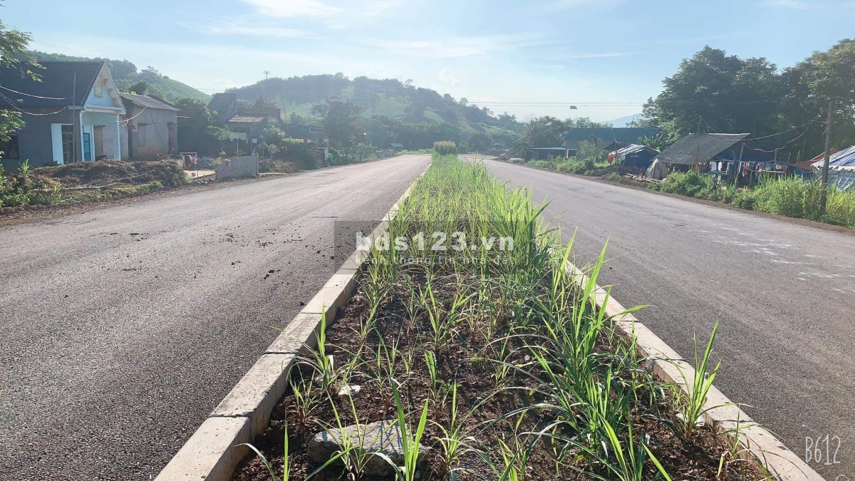 Bán đất 1000m đất ở thị trấn Sao Vàng, Thanh Hóa