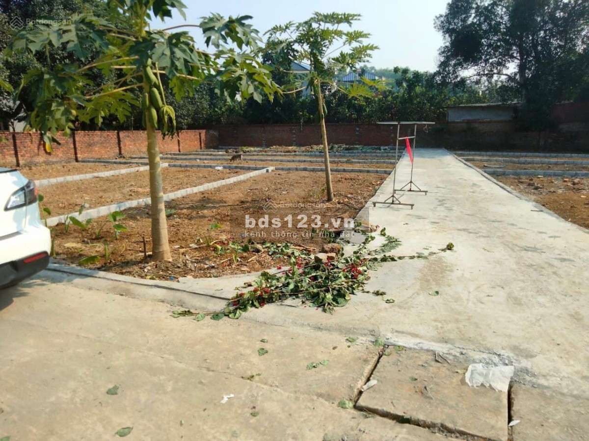 Bán gấp mảnh đất 65m2 full thô cư mặt tiền 10m cách hồ Tân Xã chỉ 200m