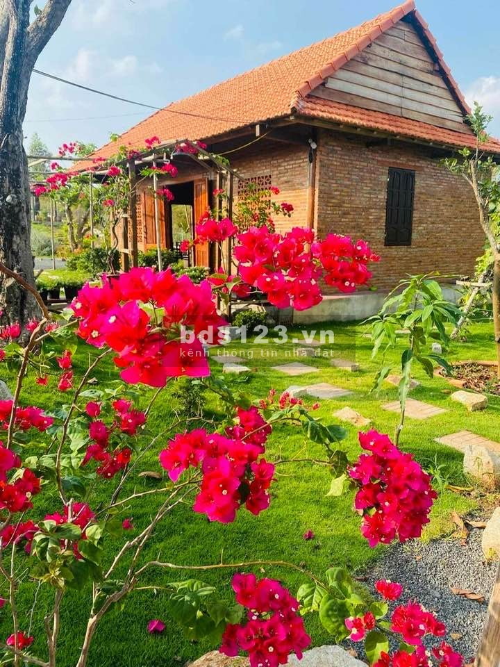 Chính chủ bán lô đất 20*100 Bà Rịa - Vũng Tàu.