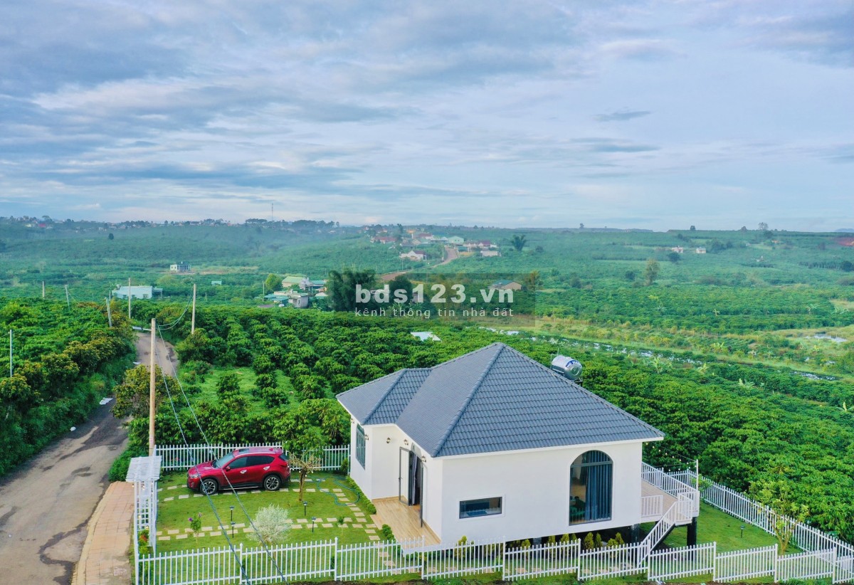 Dafa Villa - Nơi nghỉ dưỡng cực chill