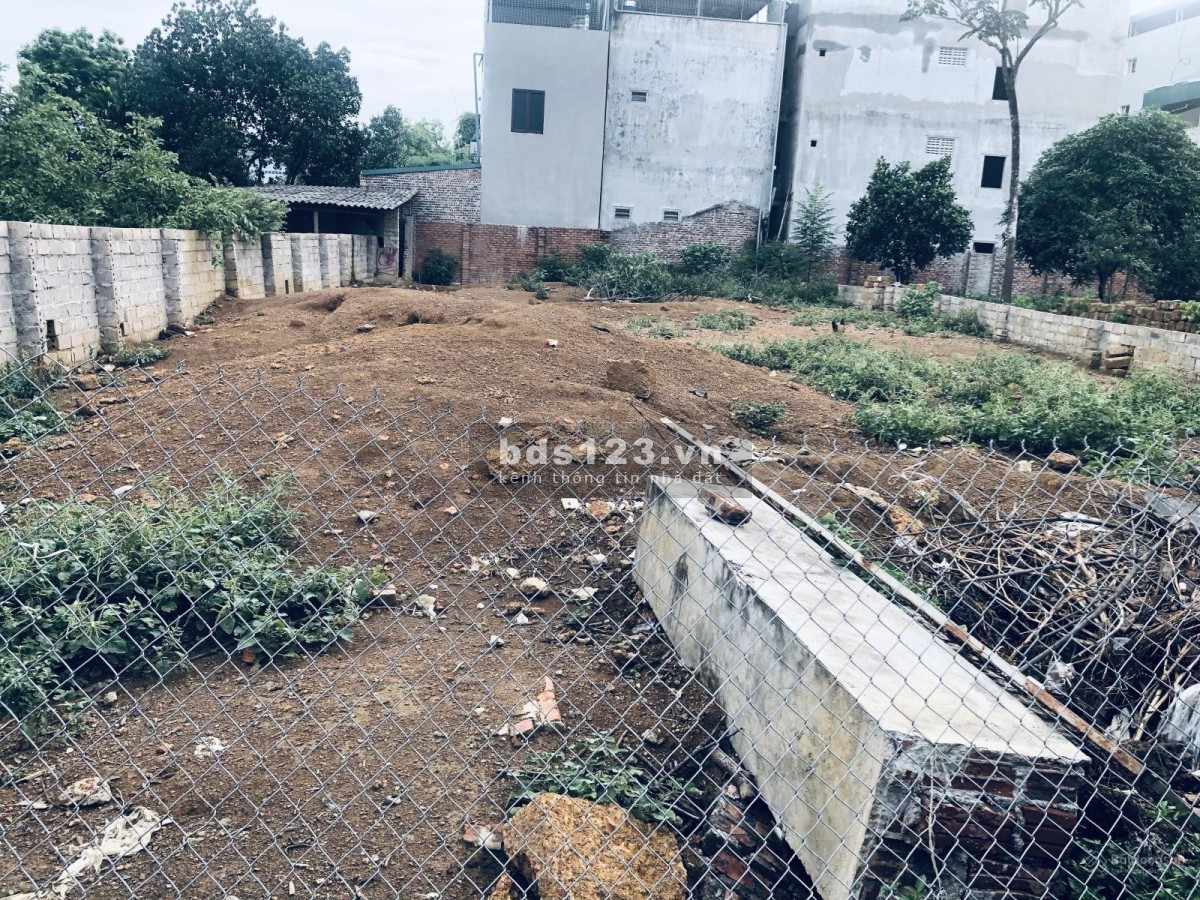 Bán đất khu Tân Xã 65m2 giá đầu tư chỉ 27tr/m2