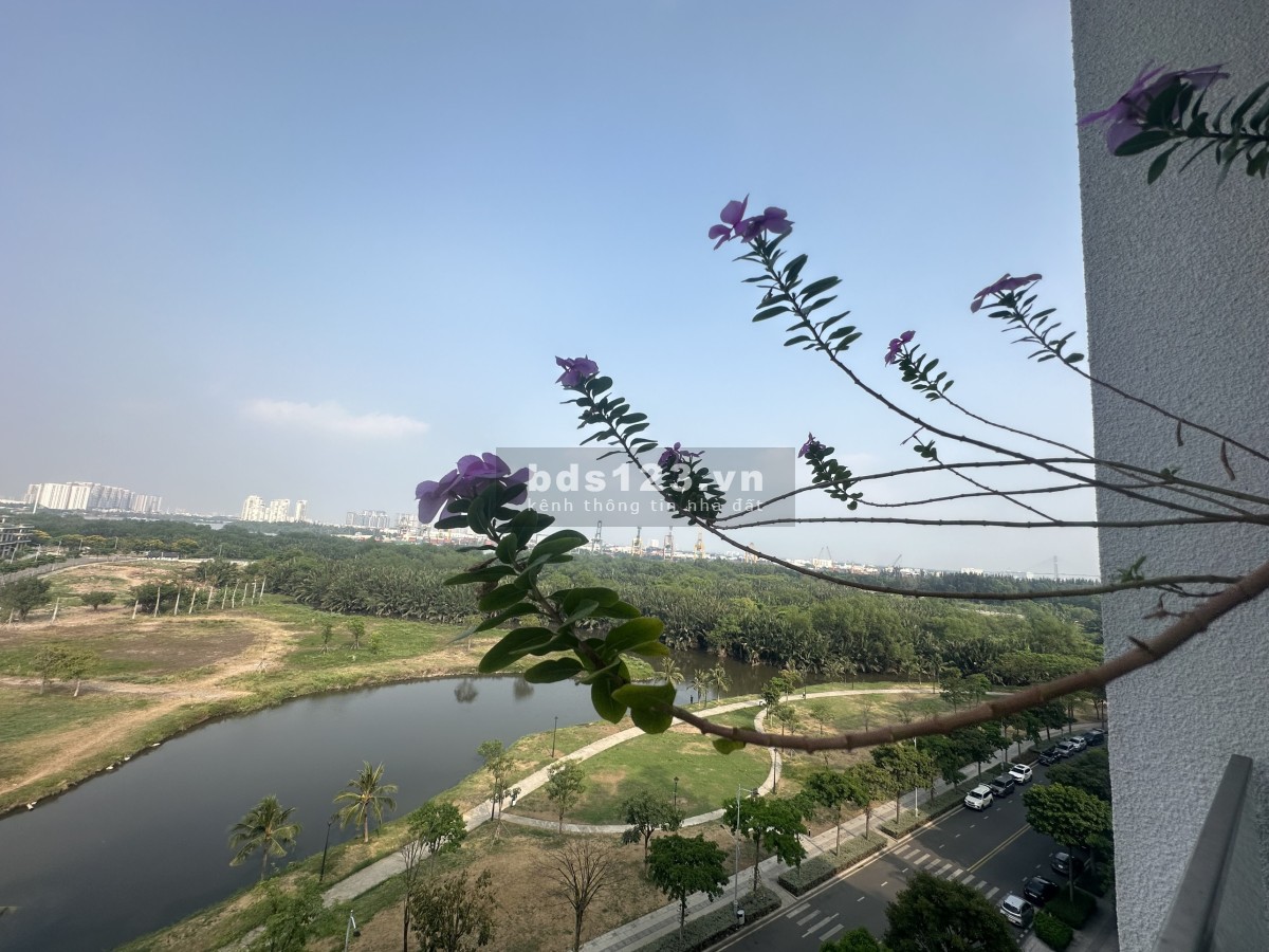 Cần Cho thuê các căn hộ Saritown Sala