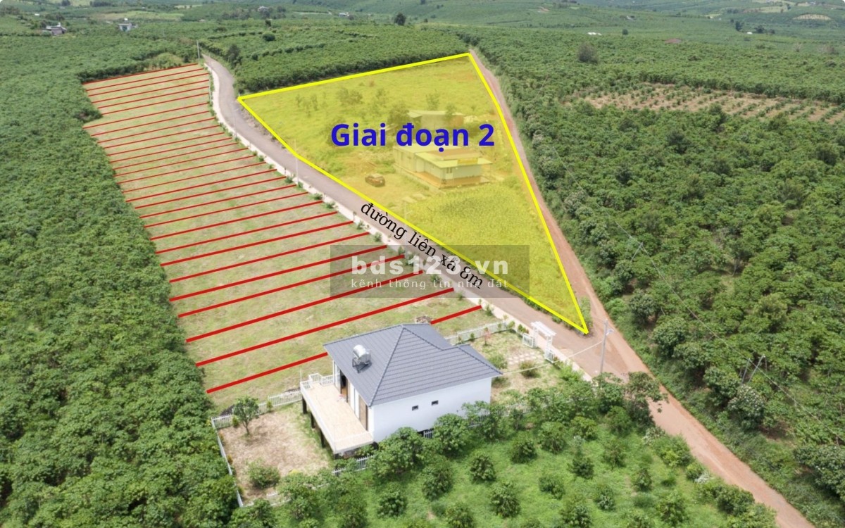 Dafa view Bảo Lộc - Vị trí vàng, ngôi nhà thứ 2 nghĩ dưỡng vào dịp cuối tuần dành cho gia đình bạn