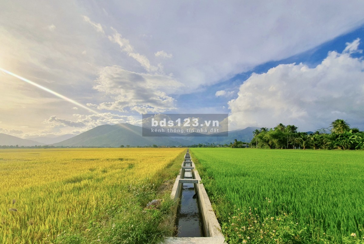 Lô góc đường nhựa 4 mét, 1268.4m2 quy hoạch đường 35m ra 3 mặt tiền bám đường ngang 58.26m pk8.