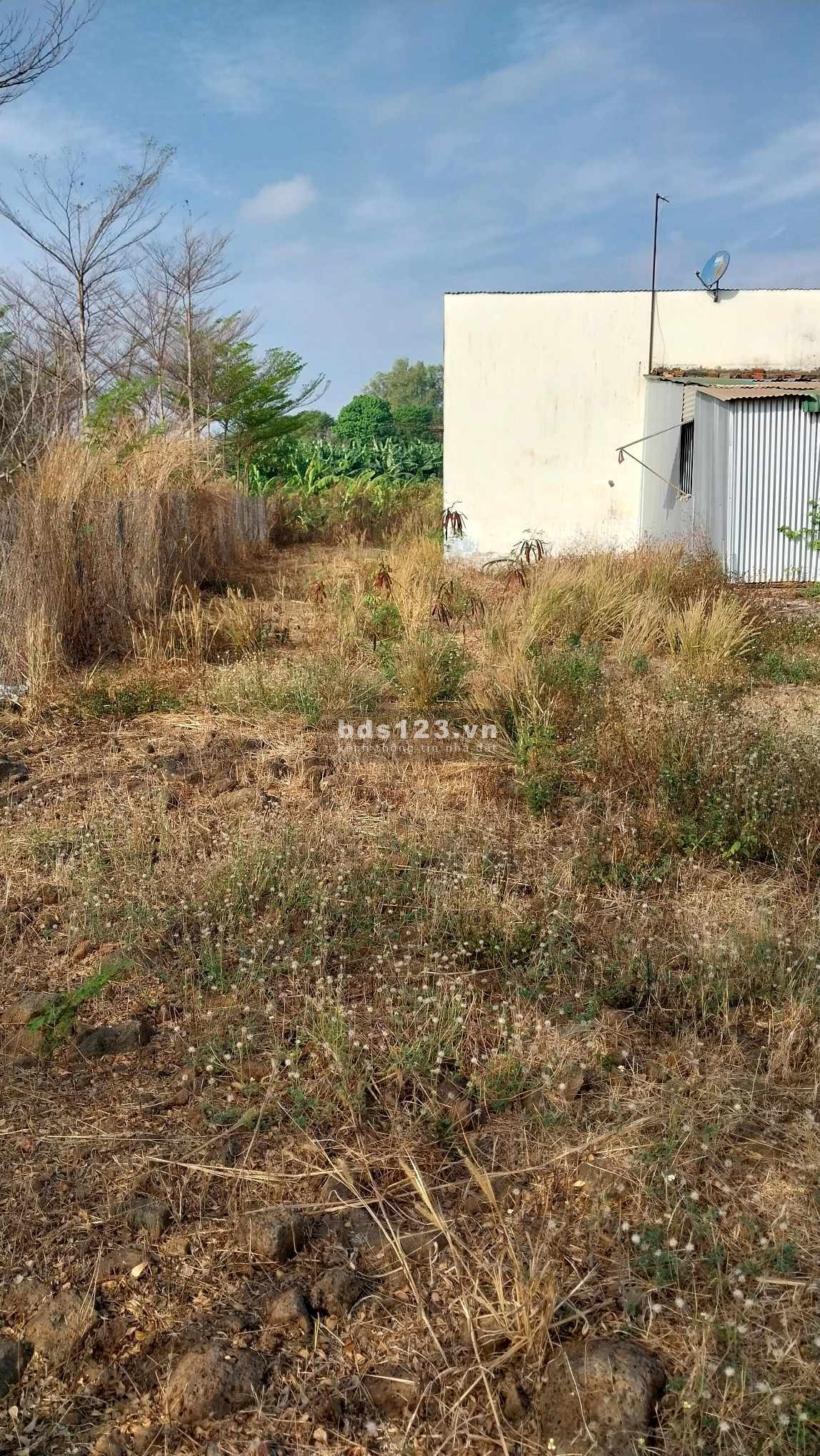 Cần bán gấp 522M2 có nhà cấp 4 mặt tiền nhựa, liên xã Sông Trầu, Trảng Bom, Đồng Nai