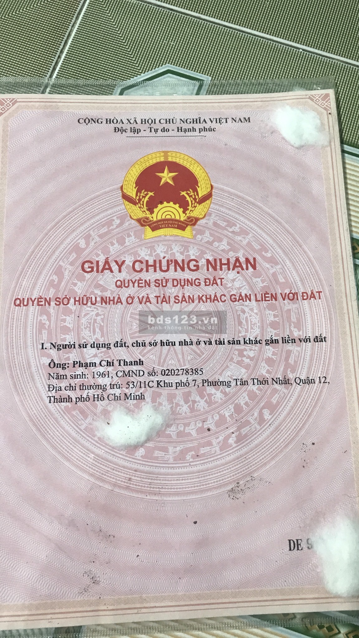 Bán gấp đất nông nghiệp trồng lúa lâu năm.