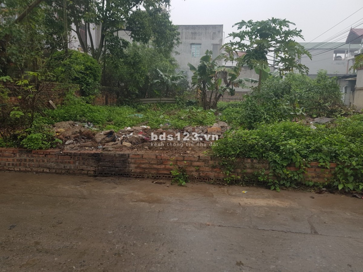 Em cần bán lô đất đẹp 60m2 tại Sơn Du, Nguyên Khê, Đông Anh, Hà Nội.