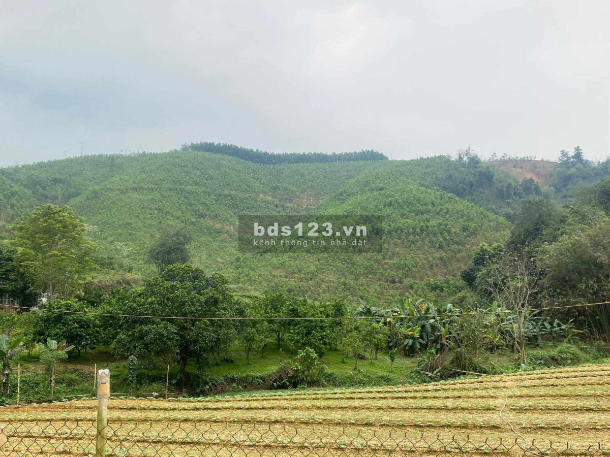 Chính chủ gửi bán đất nhà vườn, trang trại