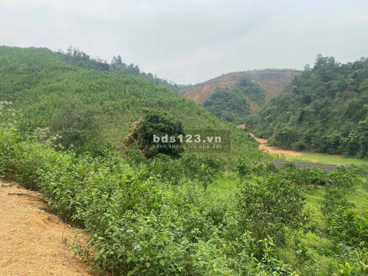 Chính chủ gửi bán đất nhà vườn, trang trại