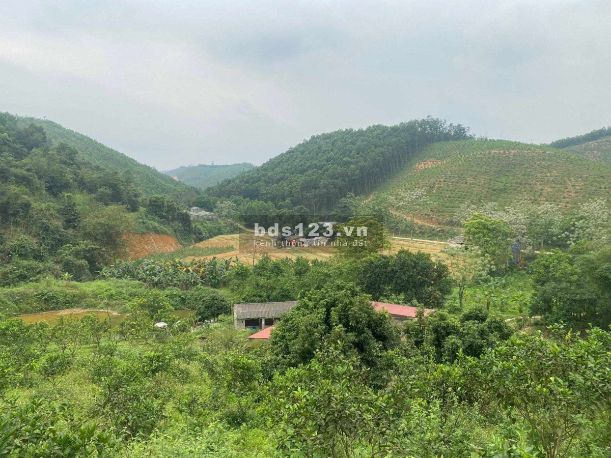 Chính chủ gửi bán đất nhà vườn, trang trại