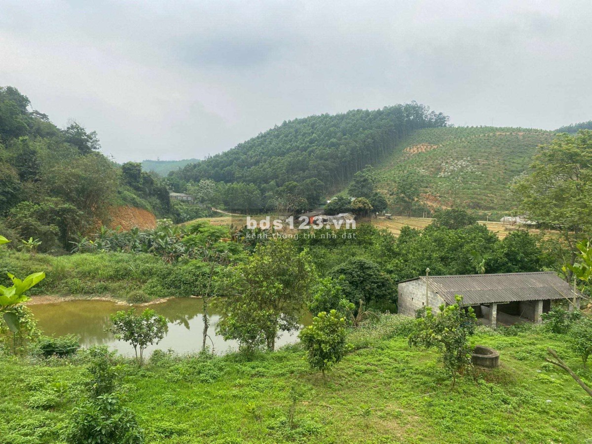 Chính chủ gửi bán đất nhà vườn, trang trại