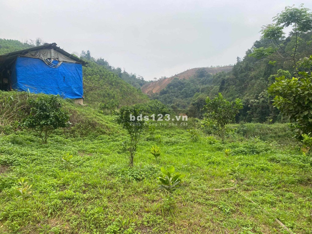 Chính chủ gửi bán đất nhà vườn, trang trại