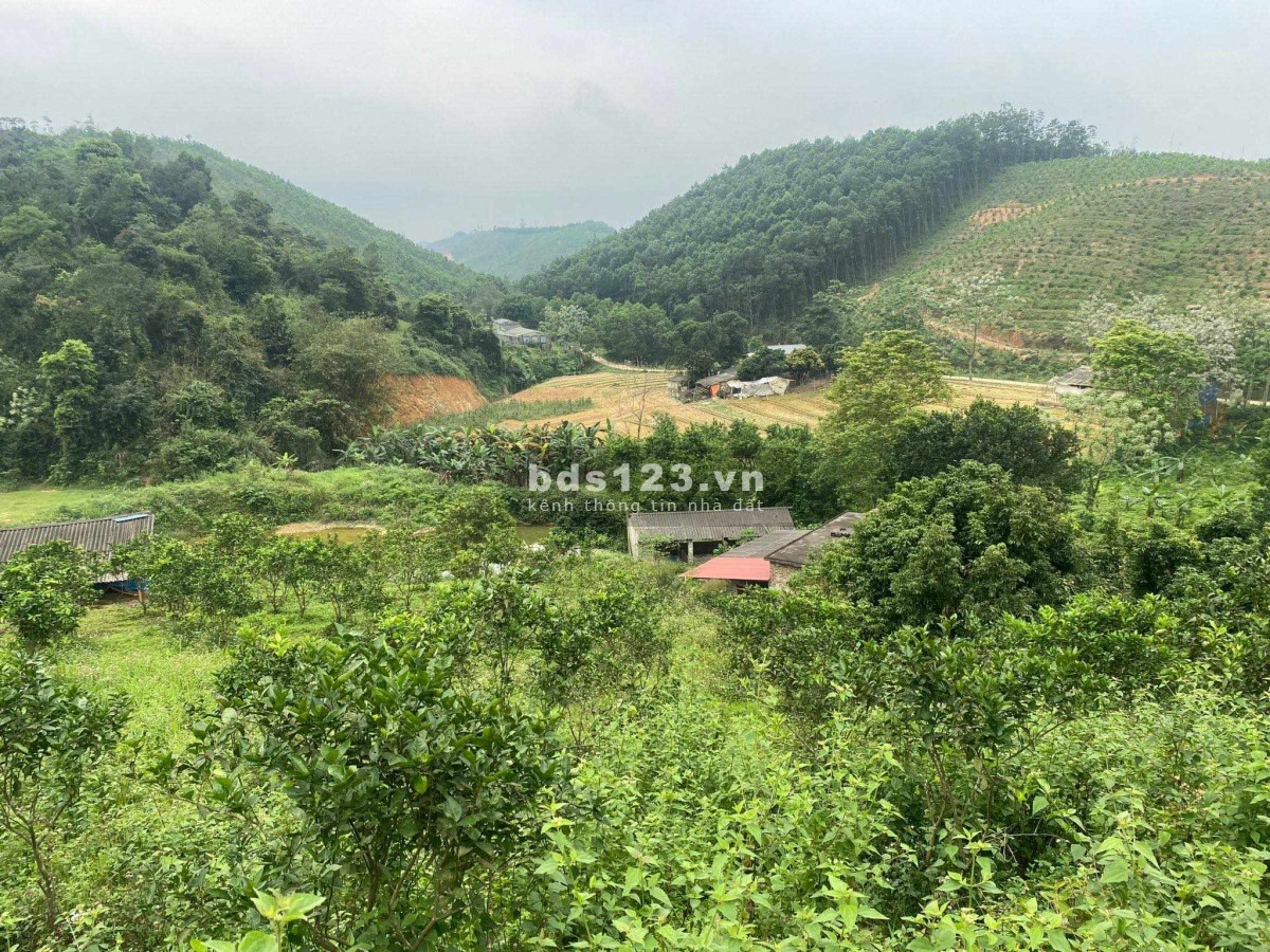 Chính chủ gửi bán đất nhà vườn, trang trại